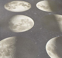 Линолеум Forbo SureStep Цифровая печать 17982 moon фото 1 | FLOORDEALER